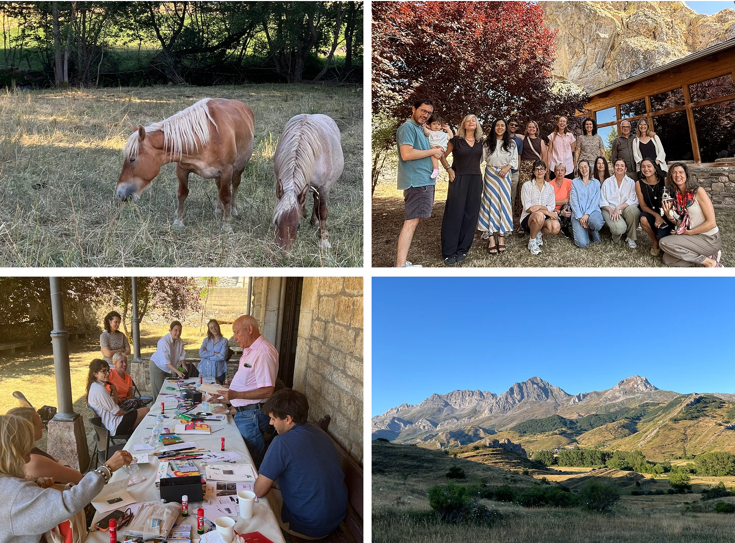 Collage de cuatro fotografías del último día de la edición 2026 de Estar en Babia